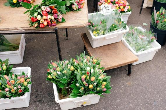 Orchids For Bouquets Wholesale